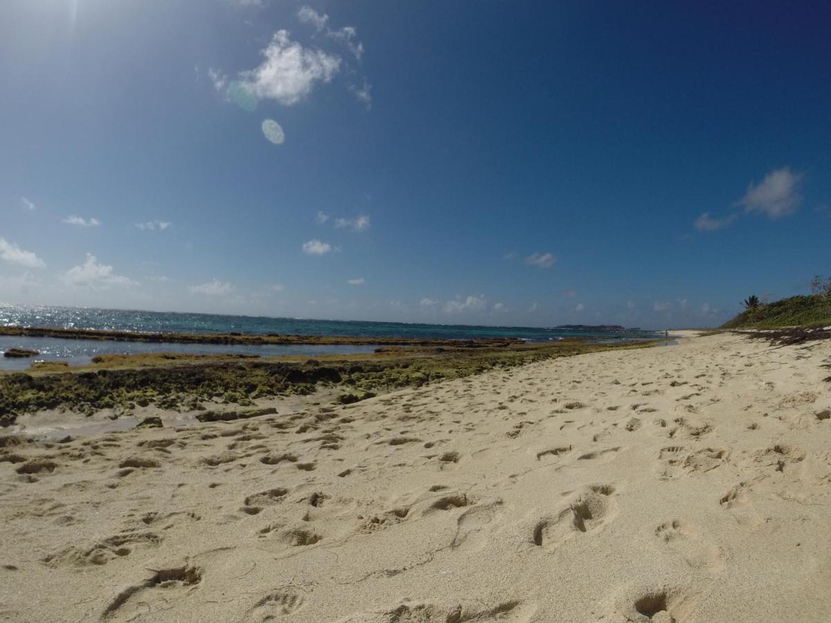 Bungalow Vanille Pacane - Vue Mer Avec Spa Prive レ・トロワ・イレ エクステリア 写真